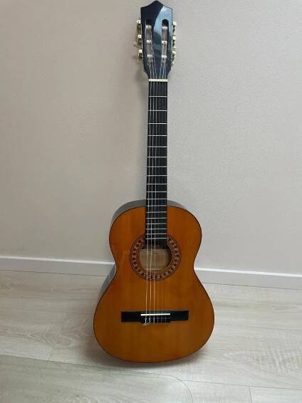 kytara Stagg 3/4 + obal