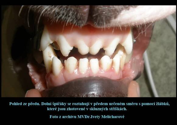 Vady skusu 1 | LPdental.cz