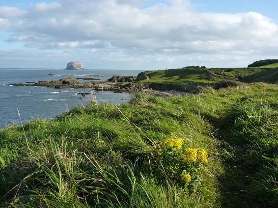 östlich von North Berwick