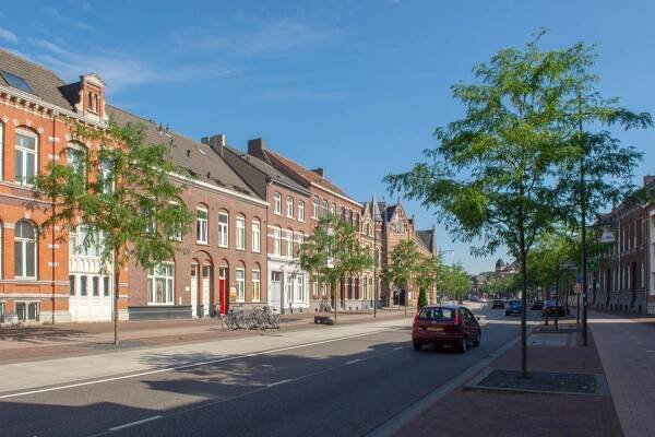 Streets and avenues | Solutions by use | Solutions | Ebben Nurseries
