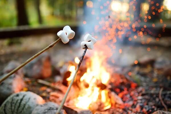 pečení marshmallows na tyči u ohně. bavit se při táborovém požáru. - hranice venkovní oheň - stock snímky, obrázky a fotky