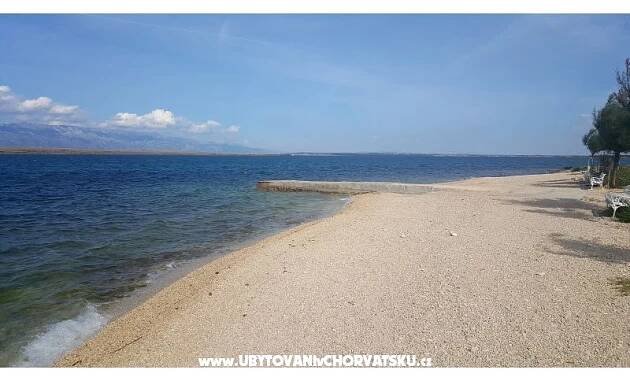 apart. Zadro first house by the sea | ostrov Vir, Chorvatsko otok Vir dovolená