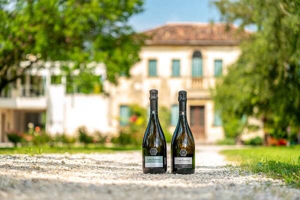 Casa Terriera - Produzione Conegliano Valdobbiadene Prosecco Superiore DOCG