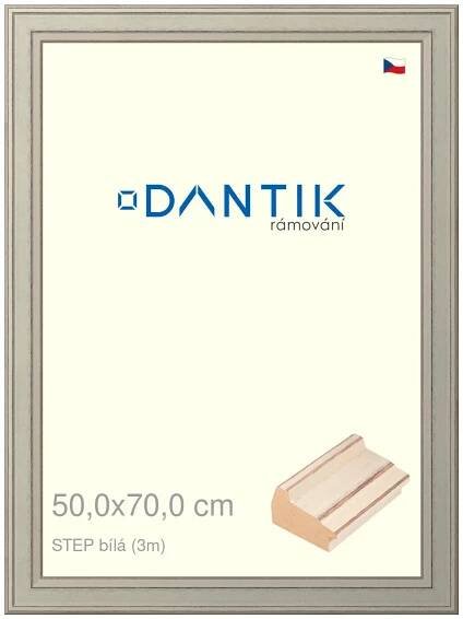 DANTIK rámeček na obraz 50x70
