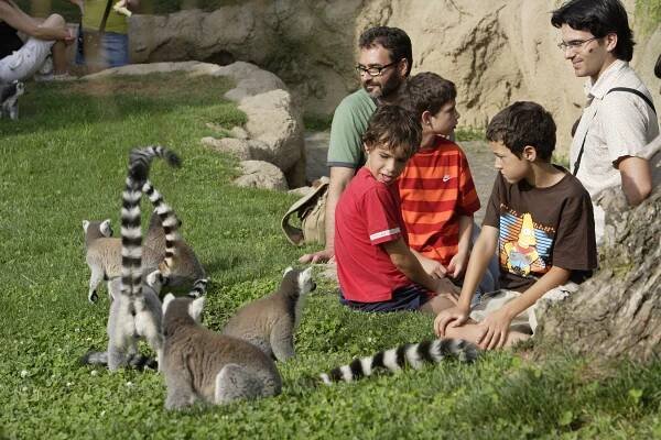 Eintrittskarte Bioparc Valencia