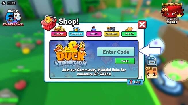 A screenshot of Duck Evolution in Roblox showing the game's codes field.