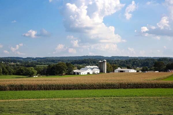 we buy houses Plainfield Township PA