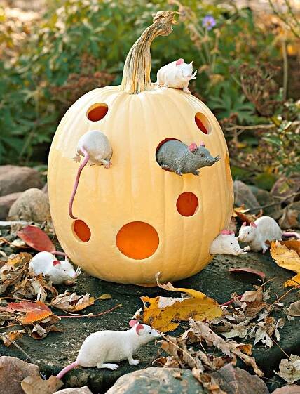 Mouse and Cheese Pumpkin