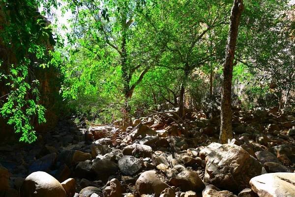Fotogalerie Katherine Gorge – Tojnaří webové doupě