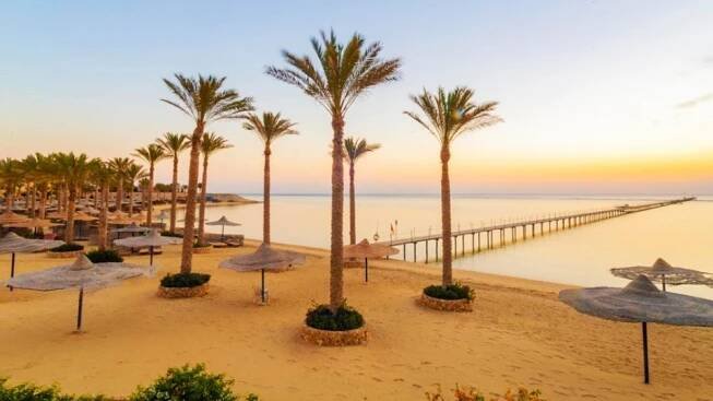 Nejlepší hotely v Marsa Alam – Vítězové Invia Awards 2024 | Invia.cz