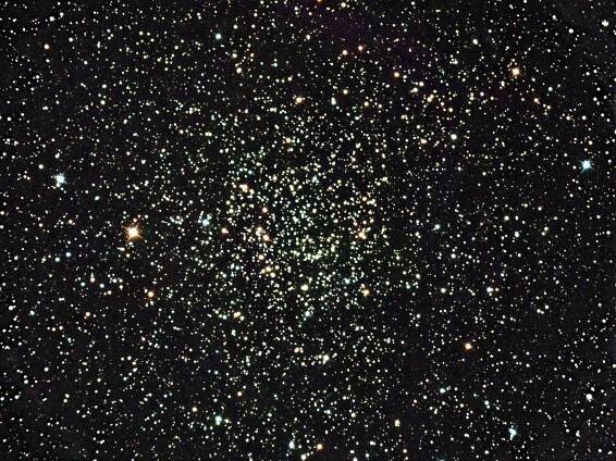 Caroline's Rose Open Cluster