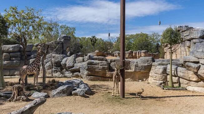 Zoo de Barcelona