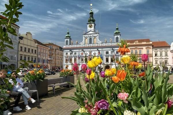 Prohlídka města České Budějovice