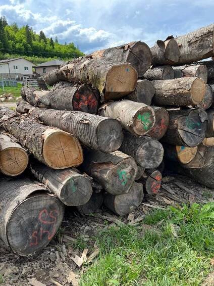 SF WOOD, s. r. o. | Spišská Nová Ves | Dřevostavba | Jasan | Jedle | Borovice | Zkracovací řetězová pila na balíky | Zkracovací
