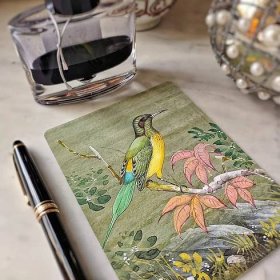 Birds of India- Pack of Custom Note Cards
