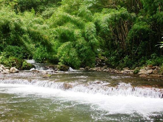 Costa Rica Nature Photography, Animals, Birds, Scenery, Orchids, Waterfalls