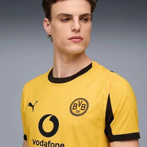 Borussia Dortmund 25/26 Authentic Cup Jersey Men