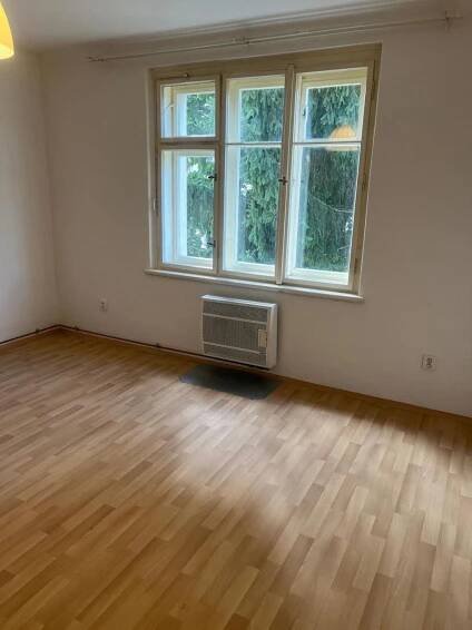 Pronájem bytu 1+kk 35 m², V předpolí, Praha - Strašnice