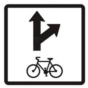 Dopravní značka E12c - Povolený směr jízdy cyklistů