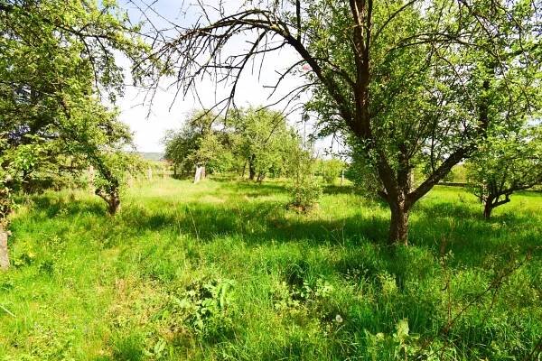 Prodej stavebního pozemku 2419 m2 - Ronov nad Doubravou, obrázek č.7