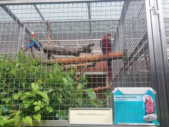 Papouščí ZOO Bošovice - Oficiální stránky MŠ Rousínov