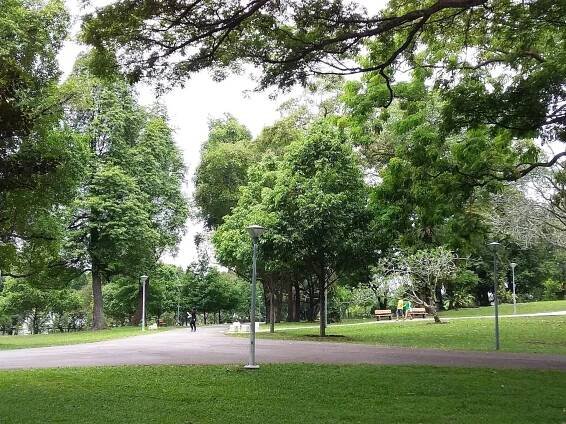 Nee Soon Rubber Estate