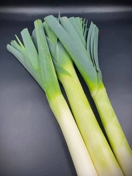 Anglia Produce Ltd