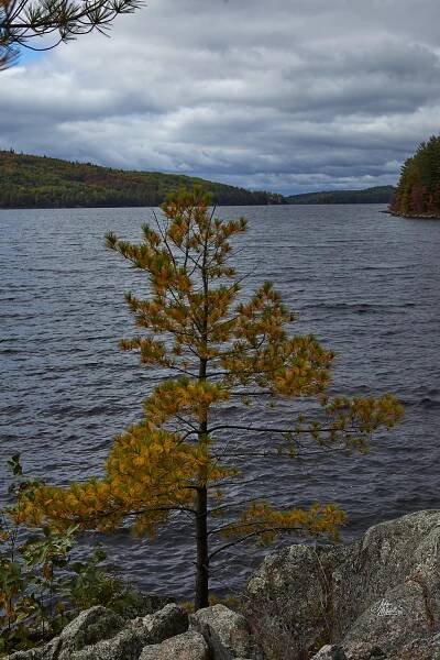 My introduction to Achray - John Mitchell Photography