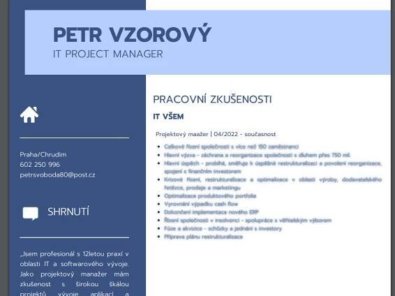 profesní představení v životopise - vzor - grafika
