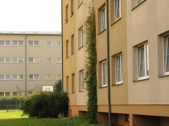 Městské byty v Kolíně nutně potřebují opravy, některé střechy jsou jak síto