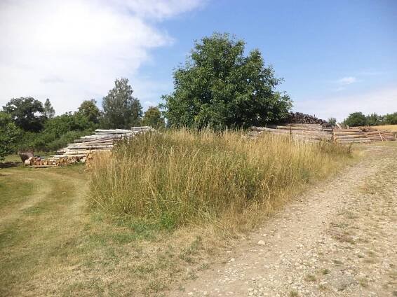 Prodej Pozemek, Arneštovice, okres Pelhřimov