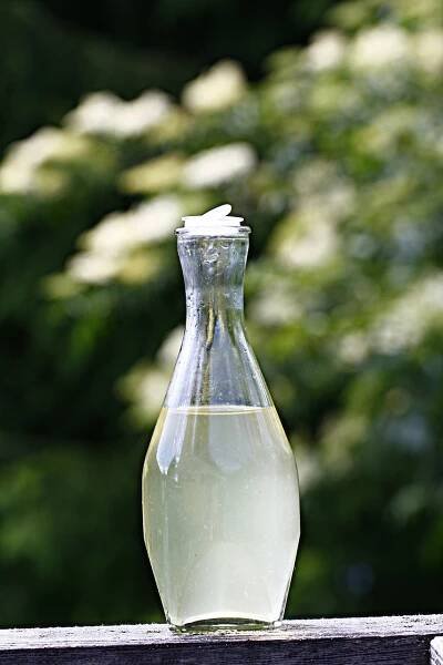 Rýmovníkový sirup -výroba a použití - Dobře Bydlet