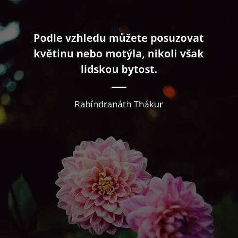 Podle vzhledu můžete posuzovat květinu nebo motýla, nikoli...