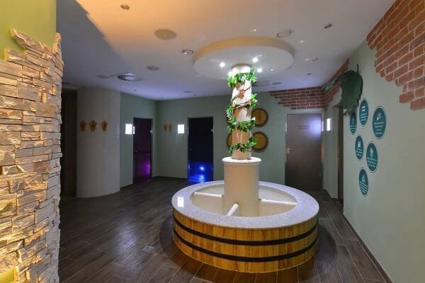Wine Wellness Amande 4* Hustopeče