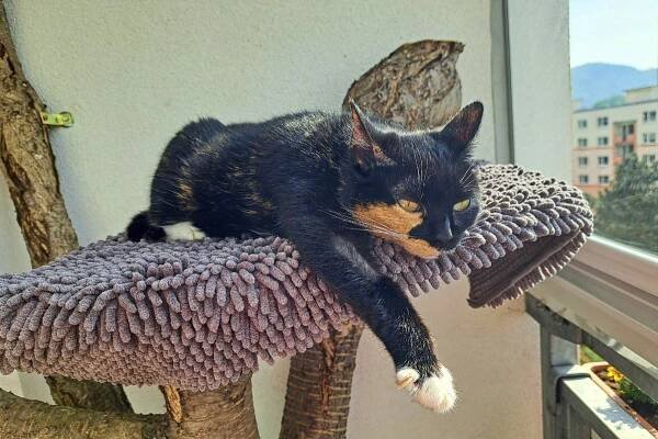 Galerie fotografií | i60.cz