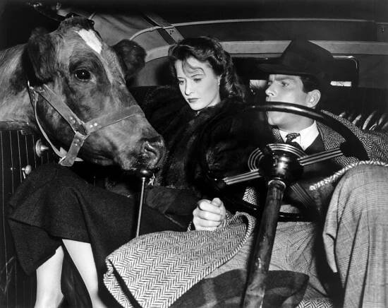 REMEMBER THE NIGHT, Barbara Stanwyck, Fred MacMurray, 1940