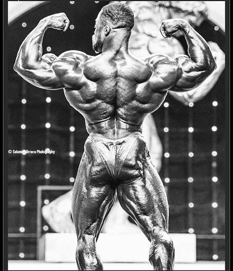 brandon curry back workout