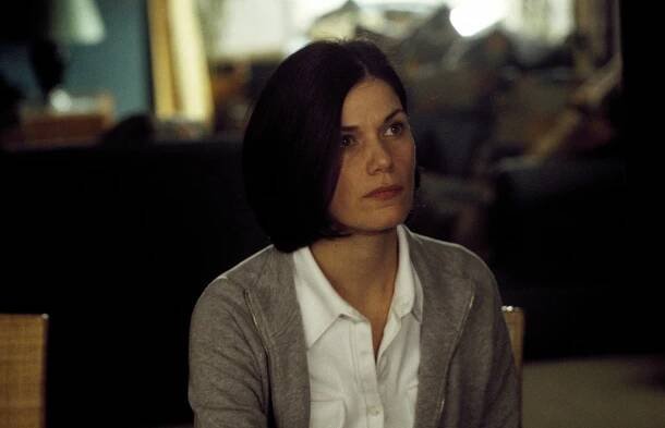 Rafinovaný zloděj - Z filmu - Linda Fiorentino