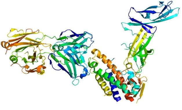 Interleukin 23 subunit alpha - Wikipedia