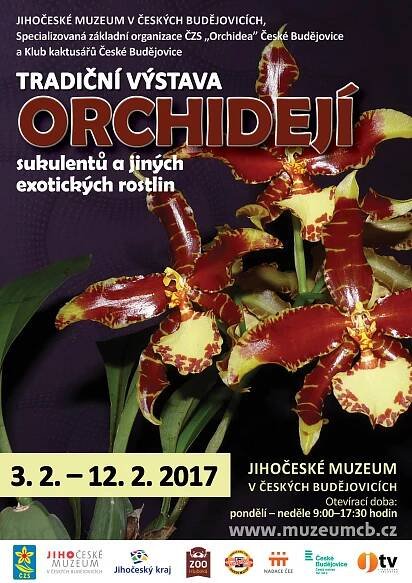 Plakát orchideje - Informační centrum pro mládež České Budějovice