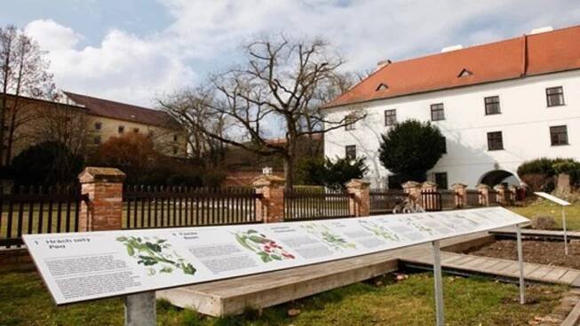 Tamtam — Mendelovo muzeum