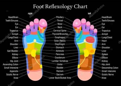 Popis grafu černá reflexní terapie nohou Stock Vector od © Furian 47062495