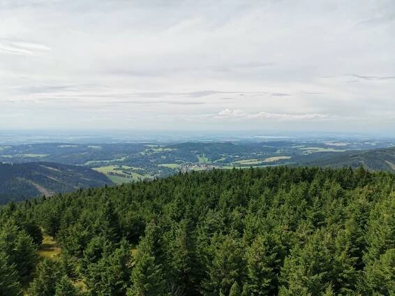 Rozhledna na Velké Deštné - Rozhledny - Orlické hory a Podorlicko - Deštné v Orlických horách
