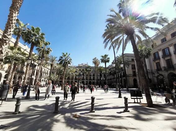 Plaça Reial mit Palmen