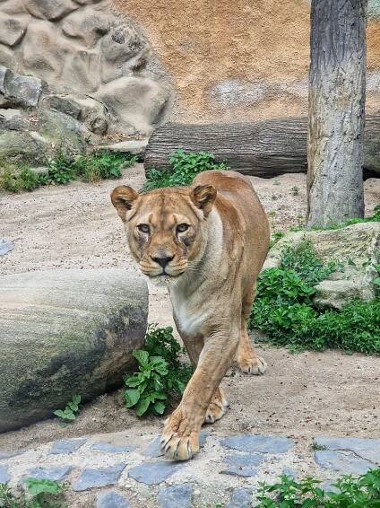 Fotosoutěž 2022 - vyhodnocení | Zoo Olomouc - Svatý Kopeček