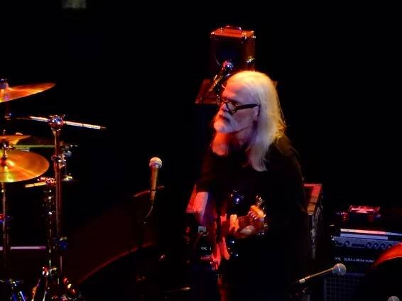 David Hayes (musician)