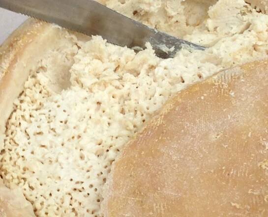 Casu marzu  formaggio sardo
