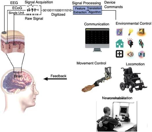 Summary of over Fifty Years with Brain-Computer Interfaces—A Review