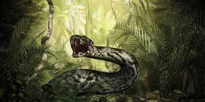 Titanoboa byl postrach