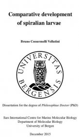 My PhD thesis in the blog post format - Bruno C. Vellutini